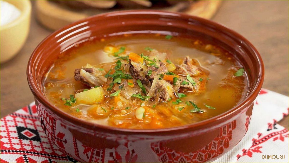 (квашеной, капусты, рецепт, приготовления, полезные) Щи из квашеной капусты: рецепт приготовления и полезные свойства