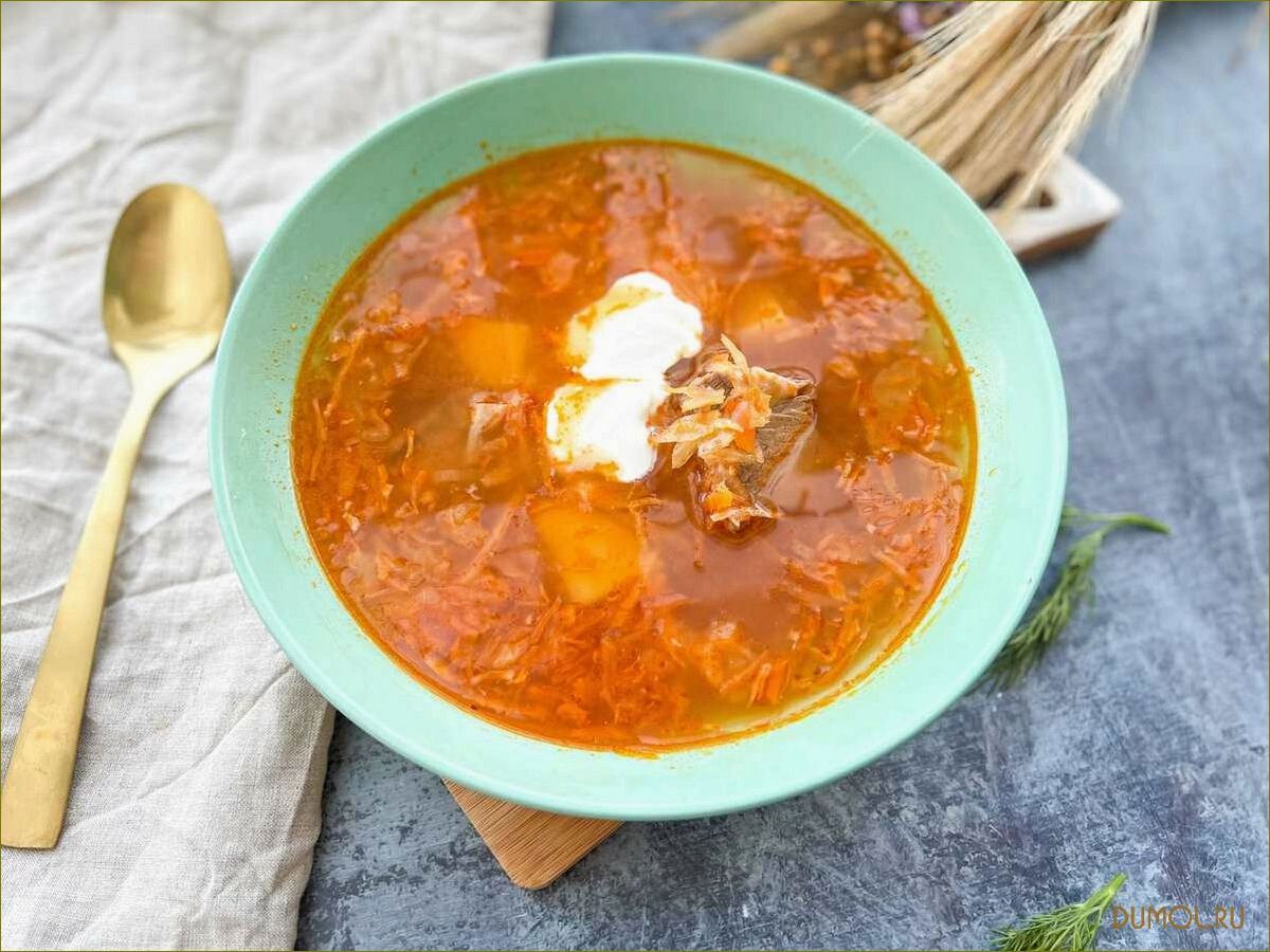 (квашеной, капусты, рецепт, приготовления, полезные) Щи из квашеной капусты: рецепт приготовления и полезные свойства