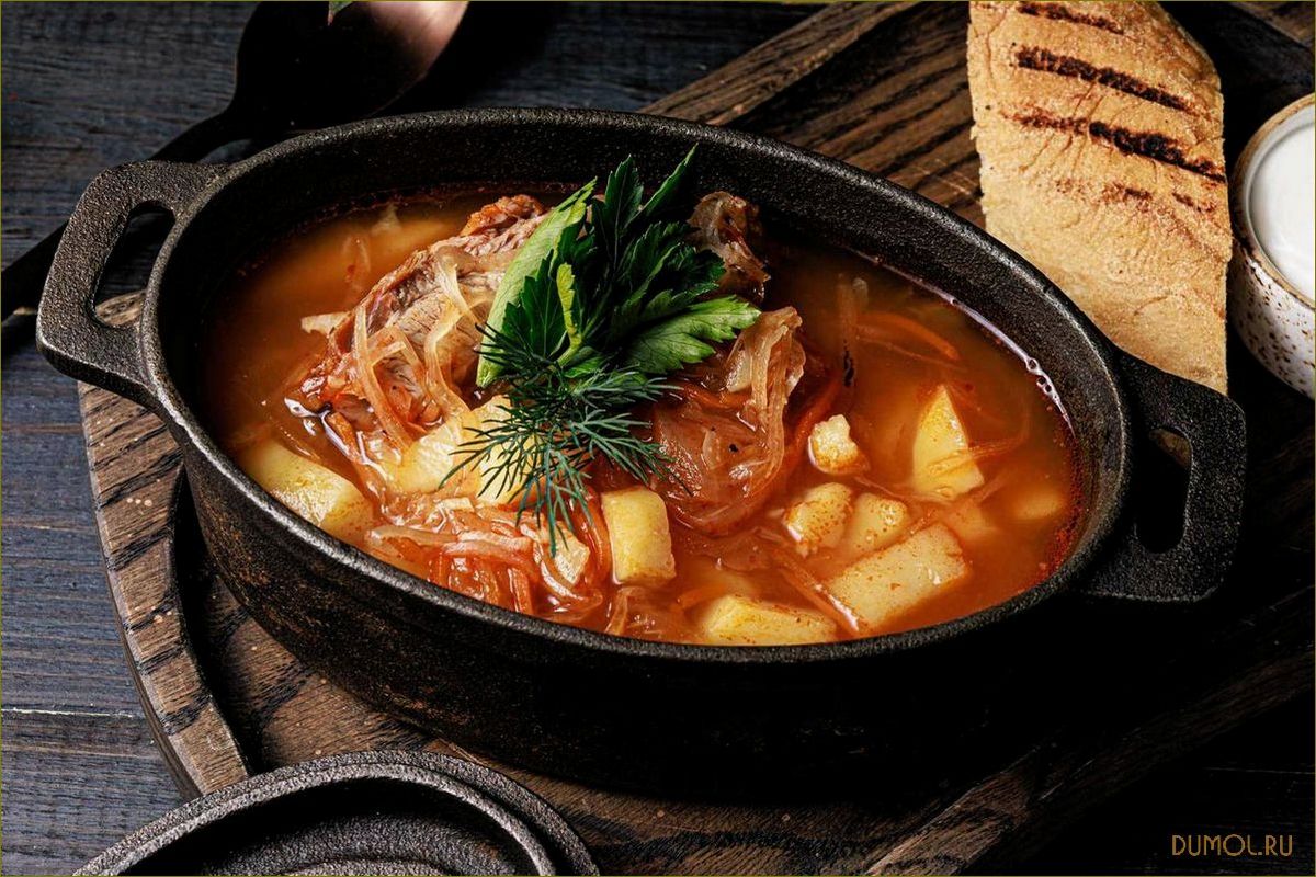 (рецепт, свежей, капусты, свининой) Рецепт щей из свежей капусты со свининой