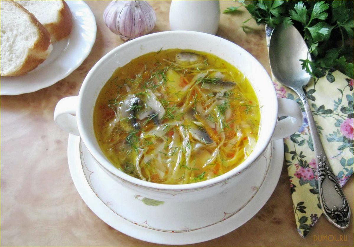 (курином, бульоне, грибами) Щи на курином бульоне с грибами