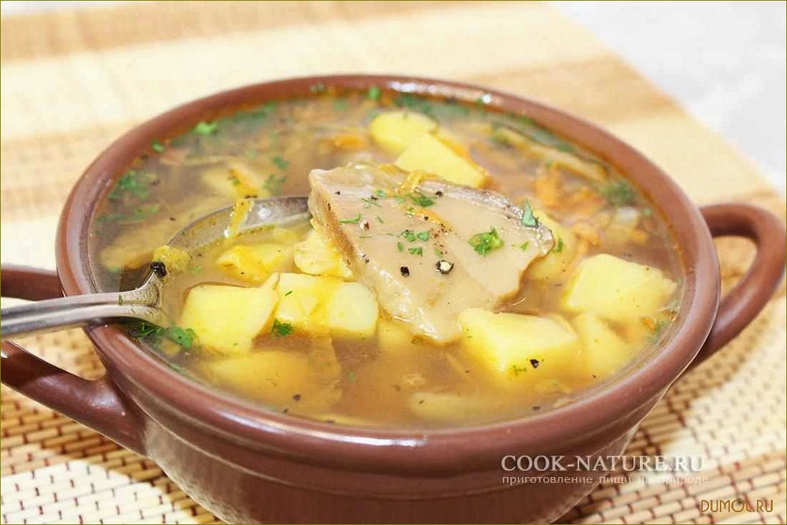 (курином, бульоне, грибами) Щи на курином бульоне с грибами