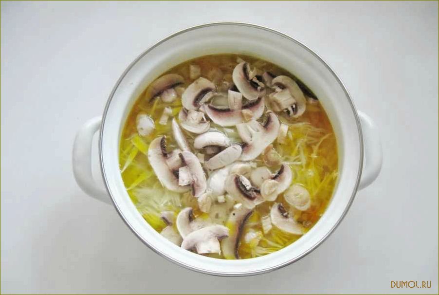 (курином, бульоне, грибами) Щи на курином бульоне с грибами