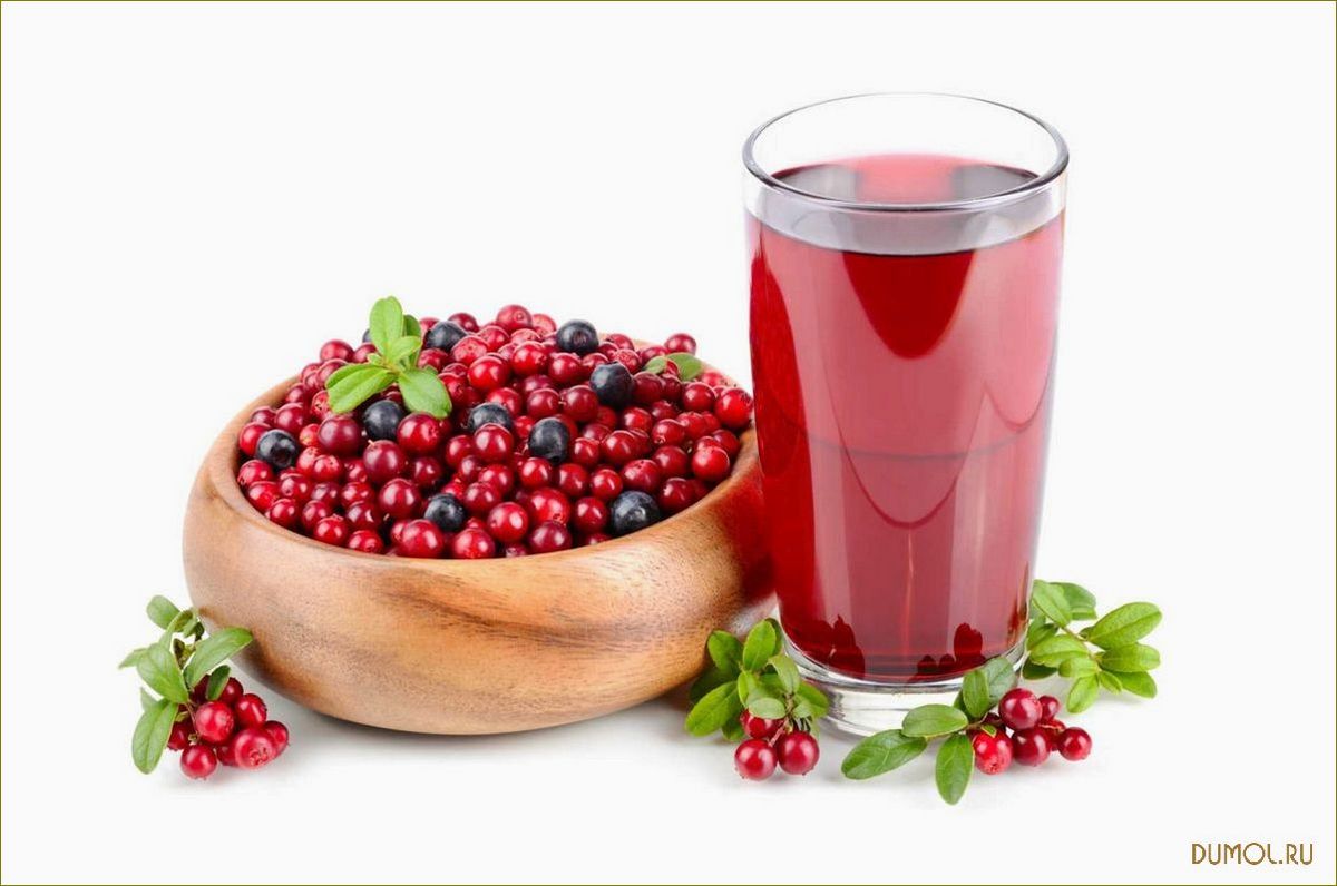 (ягодный, морс, вкусное, полезное, напиток) Ягодный морс: вкусное и полезное напиток для всей семьи